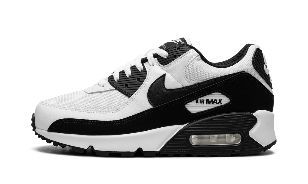 Air Max 90 "Panda" CN8490 101